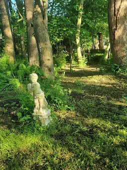 unser kleiner Wald auf dem Grundstück