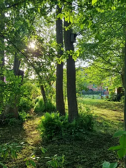 Blick aus unserem Wald zum Haus