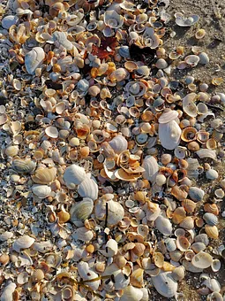 Versteckte Bernsteine? 