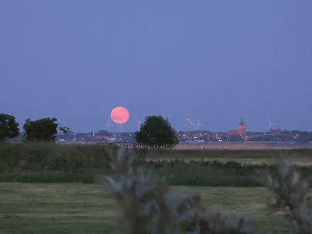 Abendstimmung - Blick vom Garten zum Bodden