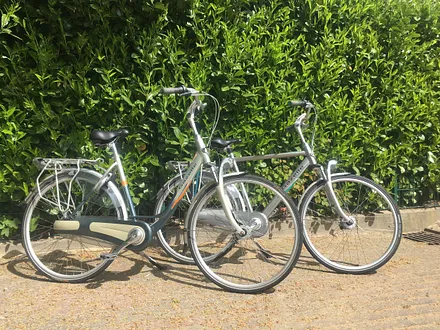 Die Gazelle Markenräder / 7-Gang