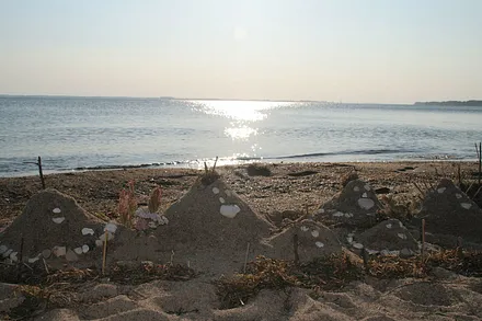 Naturstrand Palmer Ort schnell erreichbar  