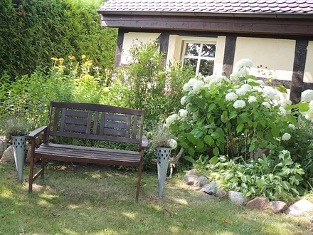 Vorderansicht Garten