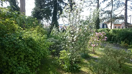 Garten vor der Sitzecke 