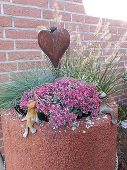 Entdeckungen im Garten