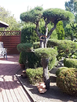 Terrasse Lee mit Blick in den Garten