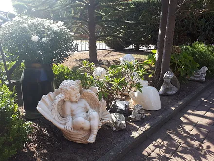 Entdeckungen im Garten