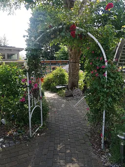 Blick aufs Grundstück 