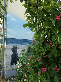 Unsere Orabelle an der Fassade 