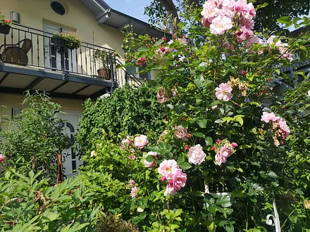 Außenbild im Sommer 