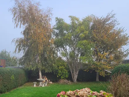 Der Garten im Herbst