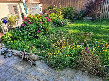 Zugang / Ausblick vom Essbereich