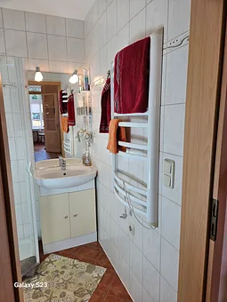 Bad mit Dusche, WC, Waschbecken, Handtuchtrockner 