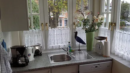 Küche mit Geschirrspüler und Kühlschrank