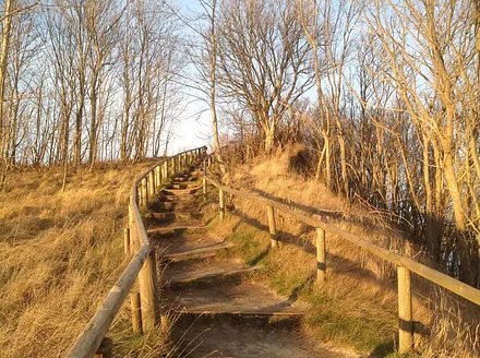 Wanderweg am Kap Arkona