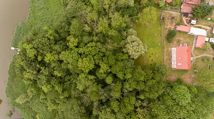 Luftaufnahme vom Grundstück