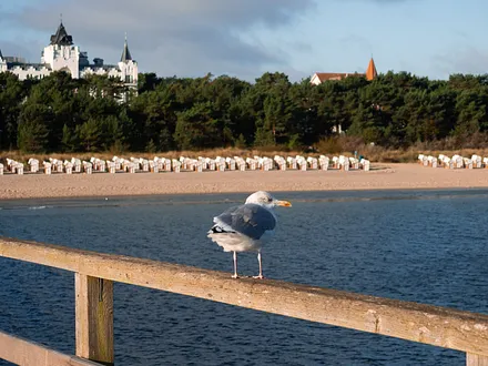 Ein schöner Rücken kann auch entzücken...