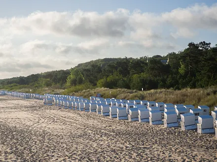 Präzise aufgereit...