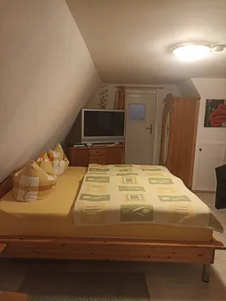 Tv und Tür zur Dachterrasse 