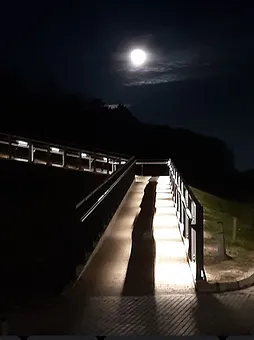 Willkommen auch bei Nacht 