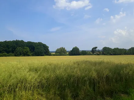 Blick in die Landschaft 