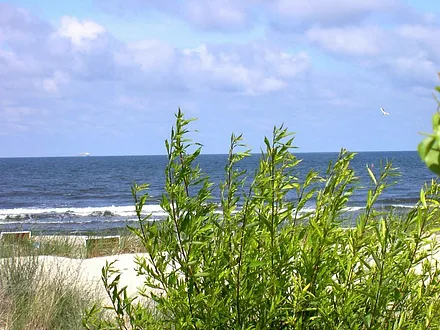 Blick über die Dünen zum Strand