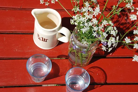 Wohlfühlen bei Apfelsaft von unseren Obstbäumen