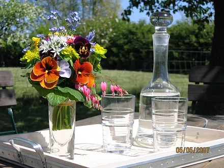 Herrliche Sonne im großen Spielgarten genießen