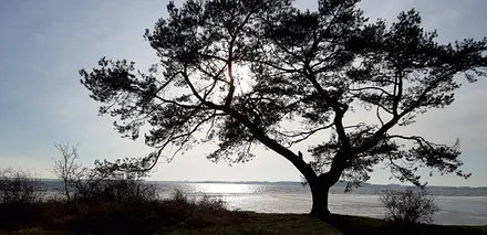 Möwenort auf dem Gnitz