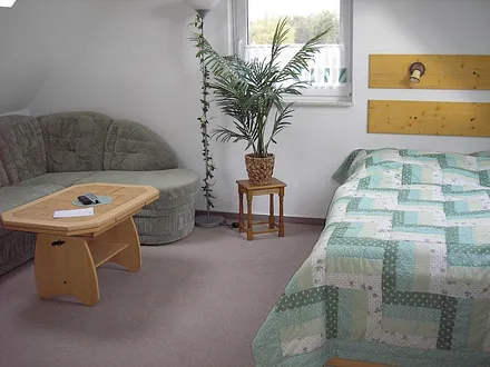 Wohnschlafzimmer im 2. OG mit Fernseher