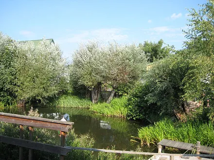 Fewo Kimberly Blick von der Terrasse