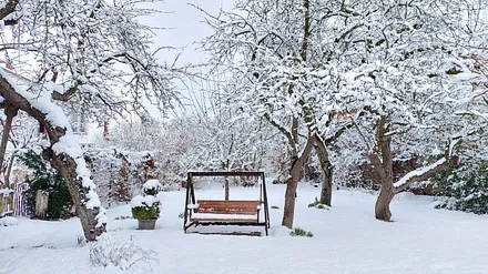 Obstgarten im Winter