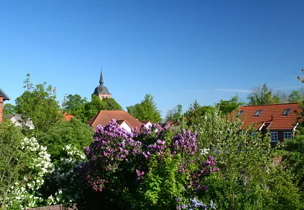 Blick aus dem Südfenster zur Dorfkirche
