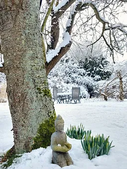 Wenn der Winter Einzug hält