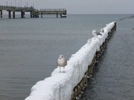 Zingst im Winter