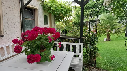 Terrasse Fewo Seeigel