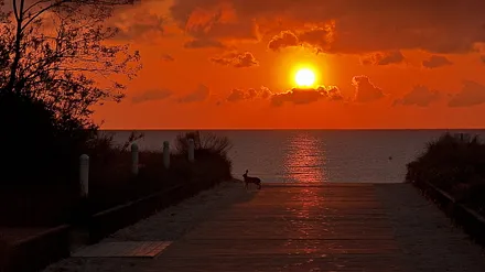 Sonnenaufgang am Meer