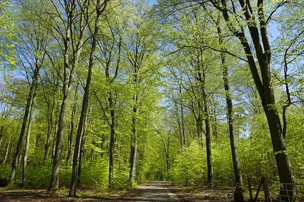 Radwege ins Hinterland