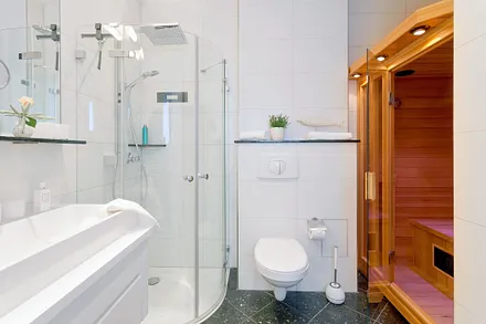 1. Bad mit Echtglas-Dusche und Infrarotsauna