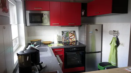 Küchenzeile mit Kühlschrank,Mikrowelle,Geschirrspüler,E-Herd.