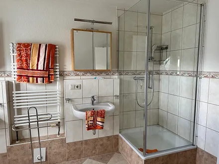 Neue Dusche im großen Badezimmer