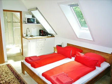 Küchenzeile, Duschbad des Appartement "Molliblick"  Hauptzimmer