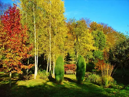 Parkbereich der Ostseepension im Herbst