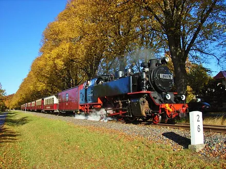 Mollibahn Herbst Lindenallee Bad Doberan - Heiligendamm