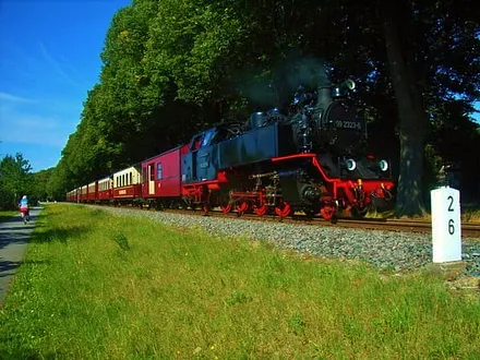 Schmalspurbahn Molli und Ostseeradweg an der Lindenallee