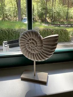 Herrlicher Ausblick!