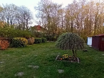 Frühjahr im Garten