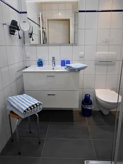 Bad mit Dusche und WC,  Kosmetikspiegel und Fön