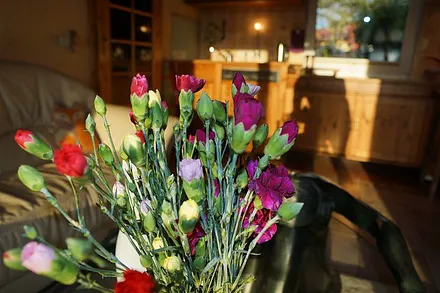 Wohnzimmer mit integrierter Küche