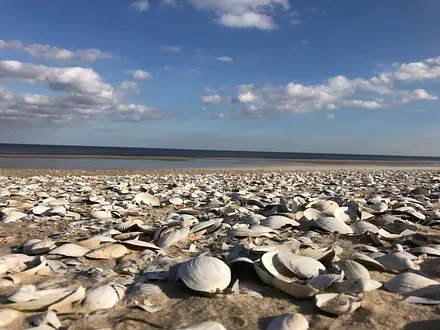 Strandspaziergang